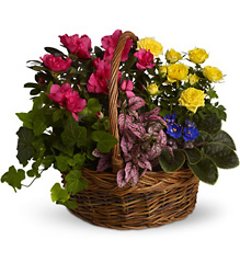 Blooming Garden Basket from Arjuna Florist in Brockport, NY